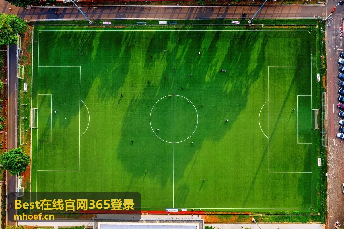 Best在线官网365登录每月安全巡检示意